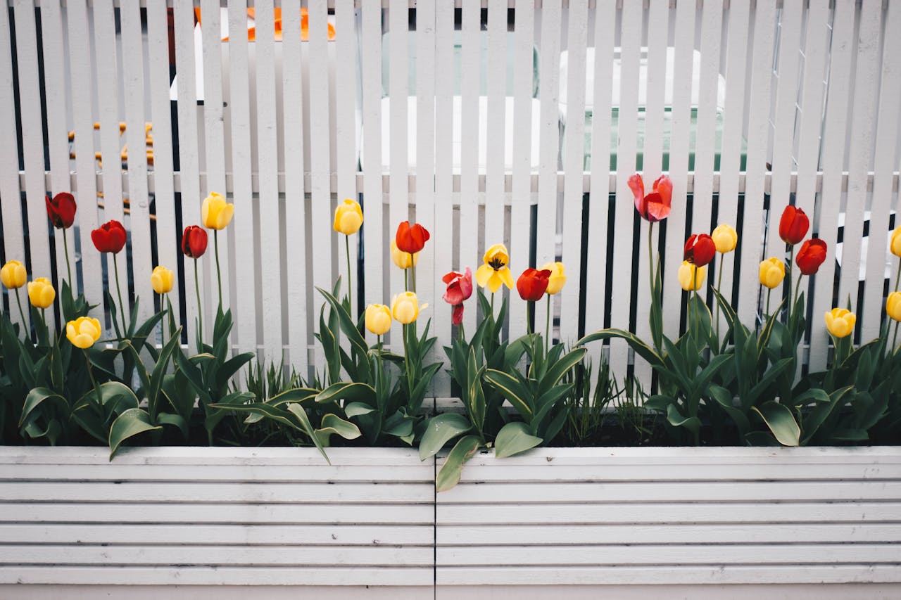 Creating a Butterfly Garden With Native Plants