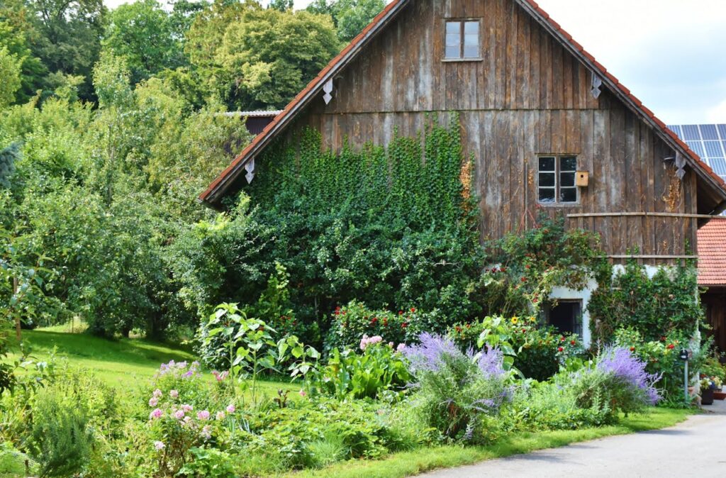 Simple Ways to Attract Bees to Your Garden