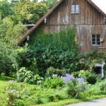Simple Ways to Attract Bees to Your Garden