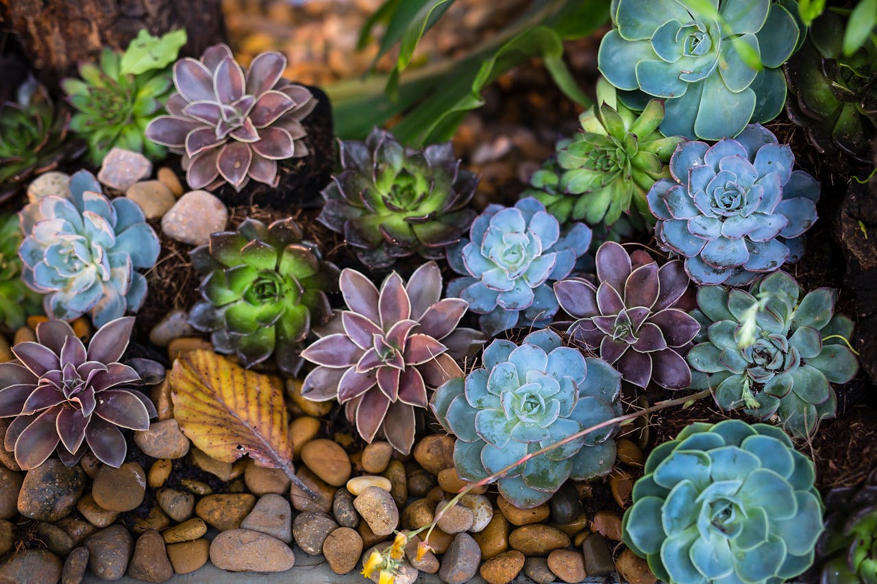 Transform Your Garden With Vertical Planters