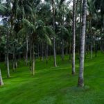Why Composting is the Gardener’s Secret Weapon