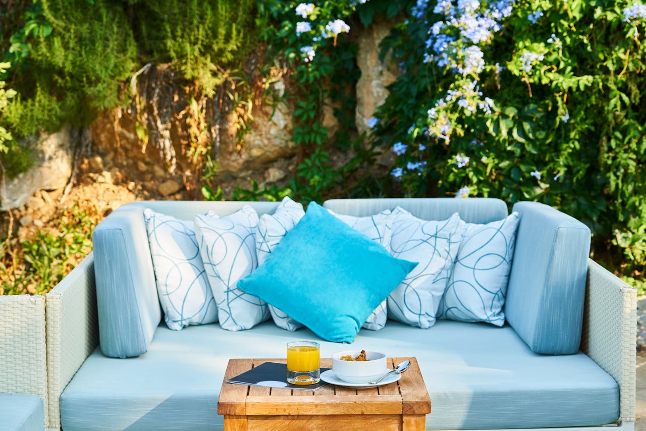 How to Choose the Right Tree for Your Yard