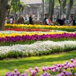 How to Keep Garden Pests Away Naturally