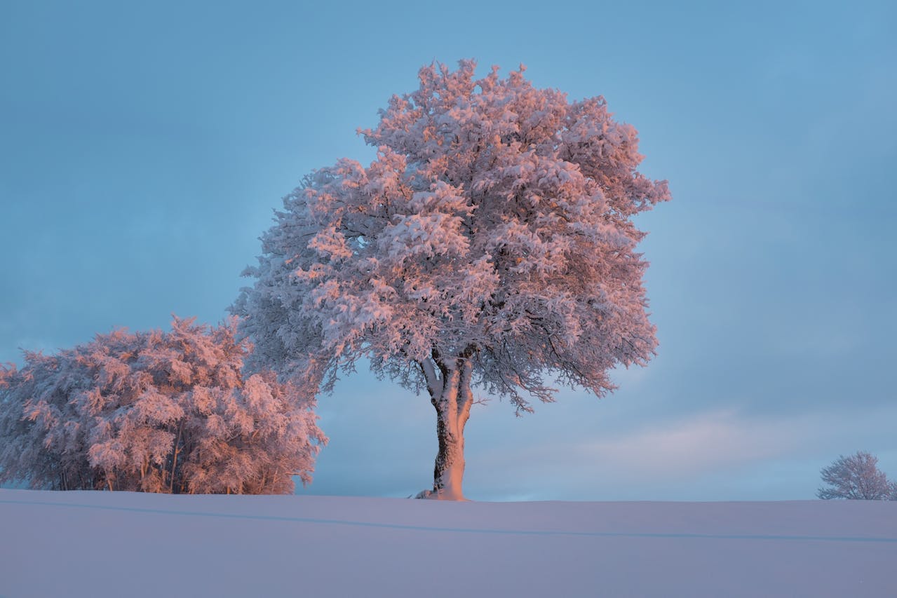 Choosing Silence in a World That Constantly Begs for Your Attention